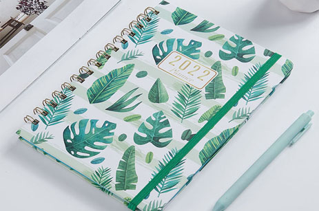 Conjunto de dibujo de lápiz de color de 145 bocetos para principiantes