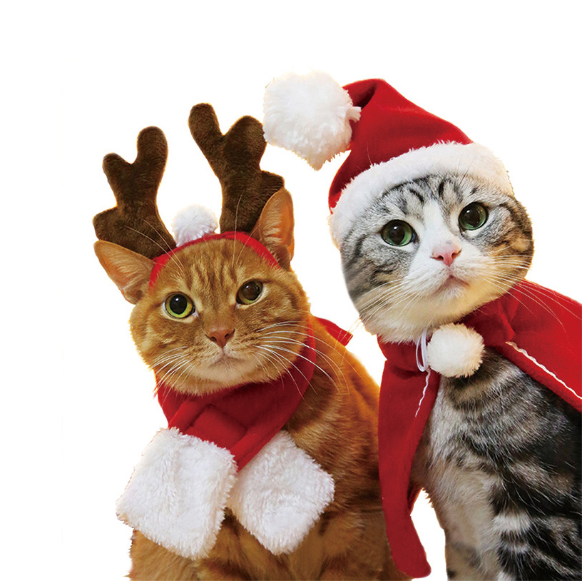 Christmas Pet Cloak Hat Holiday Costume Set