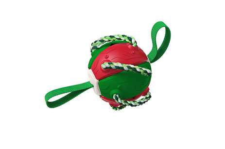 Perro entrenamiento al aire libre Frisbee juguete fútbol